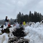 雪下ニンジン収穫体験